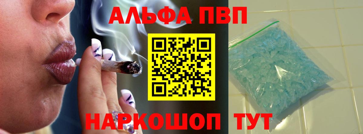 Альфа ПВП СК Новотроицк
