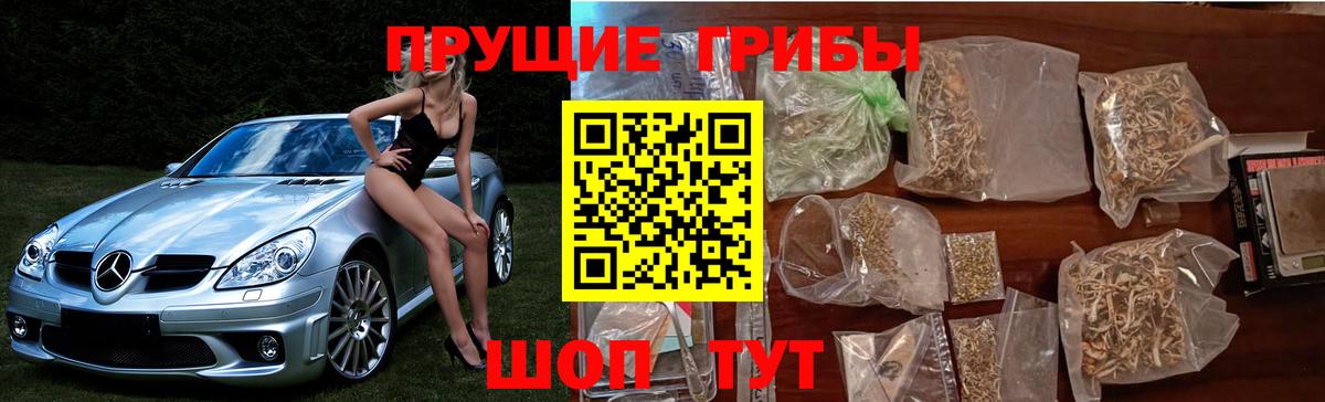 Псилоцибиновые грибы Psilocybine cubensis Новотроицк