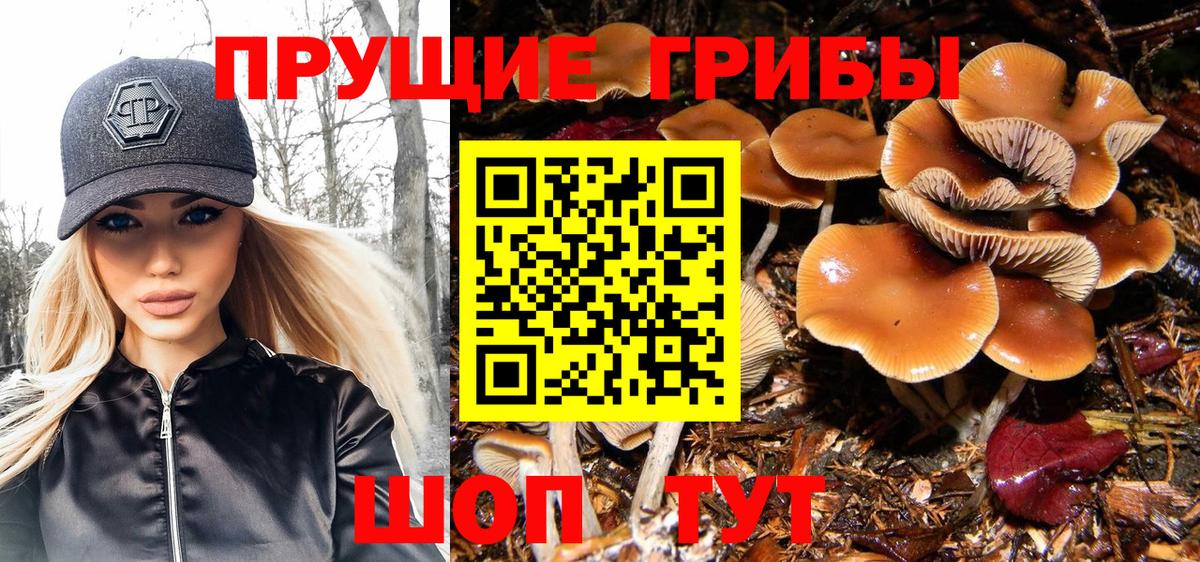 Новотроицк  Галлюциногенные грибы Cubensis  Вход с VPN  Псилоцибиновые грибы MAGIC MUSHROOMS 