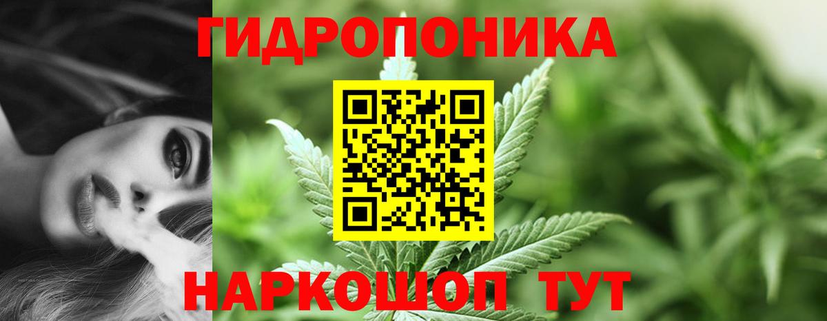 Бошки марихуана конопля  Вход с VPN  Бошки Шишки LSD WEED  Бошки Шишки LSD WEED  Новотроицк 